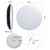 LED Bulkhead 30 cm - Plafondlamp - Wandlamp - 18W 2100 Lumen - CCT lichtkleur instelbaar - IK10 - Zwart - IP65 Waterdicht