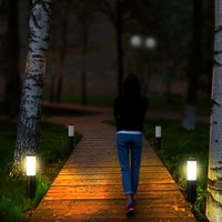 LED Außen-Wegeleuchte Dally S Schwarz Inkl. Bewegungsmelder und Dämmerungsschalter E27 IP44 45cm
