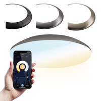 LED Bulkhead 30 cm - Plafondlamp - WiFi + Bluetooth - 18W 1800 Lumen - Lichtkleur instelbaar - Dimbaar - IK10 - RVS - IP65 Waterdicht