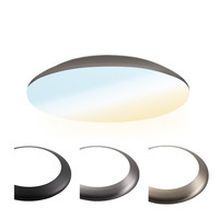 LED Ceiling lamp 12W CCT - 1200lm - IK10 - Ø25 cm - Stainless Steel - IP65