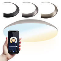 LED Deckenleuchte WiFi + Bluetooth 25W einstellbare Lichtfarbe - 2600lm - IK10 - Ø38 cm - Chrom - IP65