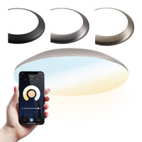 LED Deckenleuchte WiFi + Bluetooth 18W einstellbare Lichtfarbe - 1800lm - IK10 - Ø30 cm - Chrom - IP65