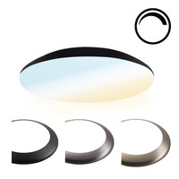 Dimmbare LED Deckenleuchte 12W einstellbare Lichtfarbe - 1300lm - IK10 - Ø25 cm - Schwarz - IP65