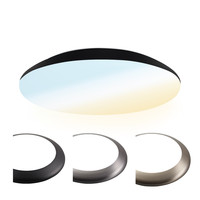 LED Bulkhead 30 cm - Plafondlamp - Wandlamp - 18W 2100 Lumen - CCT lichtkleur instelbaar - IK10 - Zwart - IP65 Waterdicht