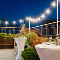 LED Lichterkette Glühbirnen - LED String Light - 20 Milchige LEDs - 10m - IP44