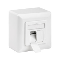 NET CAT6 Netwerkdoos opbouw universeel wit voor CAT6 internetkabels - ethernet kabel - CAT kabel - keystone geschikt - RJ45