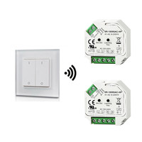 LED dimmer - Draadloos - Opbouw/Inbouw installatie - Dubbele dimmer 2-kanaals - incl. twee 400 Watt ontvangers
