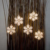 Lichtgordijn voor binnen - 30 LEDs - 1 meter - Raamverlichting Kerst - kerstverlichting