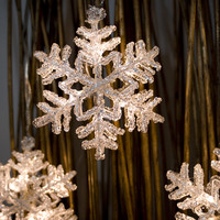 Lichtgordijn voor binnen - 30 LEDs - 1 meter - Raamverlichting Kerst - kerstverlichting