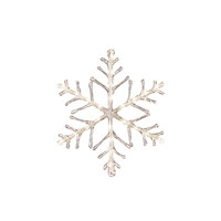 LED Sneeuwvlok buiten 24V - IP44 waterdicht - 24 warmwitte LEDs - 40 x 40 cm - Dimbaar - Kerstverlichting