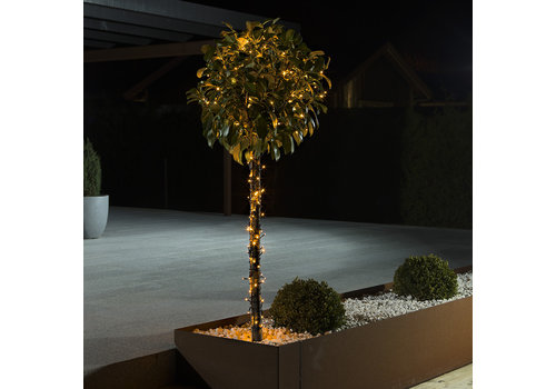 Konstsmide 6321-810 Éclairage de sapin de Noël pour extérieur Classe d'efficacité énergétique E (A - G) Alimentation secteur LED