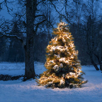 Indoor and outdoor cluster lights - 8 functions - 960 LEDs - 2100K Amber - 7.2 metres - Christmas lights - IP44 - Incl. Transformer