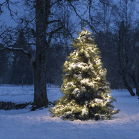 Clusterverlichting voor binnen en buiten - 8 functies - 960 LEDs – 2700K warm wit– 7,2 meter – Kerstverlichting – IP44 – Incl. Transformator