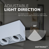 Dimbare LED opbouw plafondspot Esto Grijs 2 lichts IP20 kantelbaar excl. lichtbron