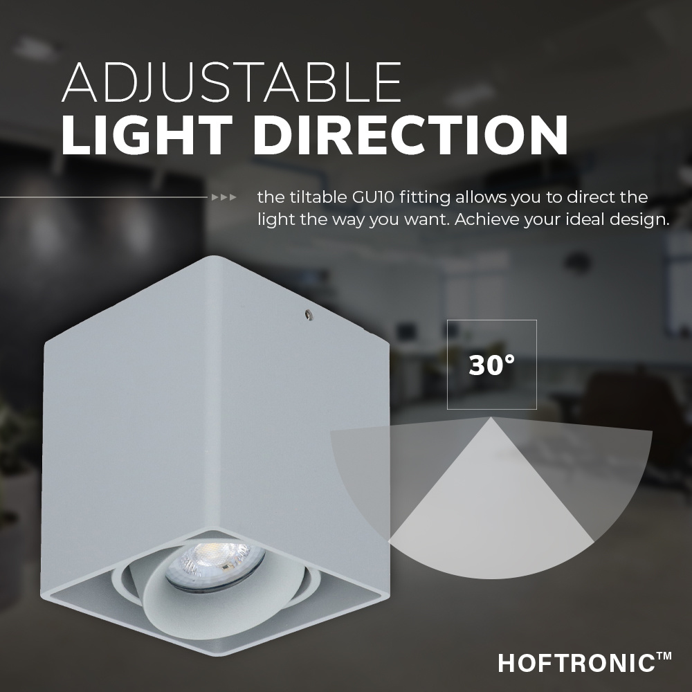 Dimbare LED Opbouwspot/plafondspot plafond Esto Grijs incl. GU10 spot 5W 4000K IP20 kantelbaar
