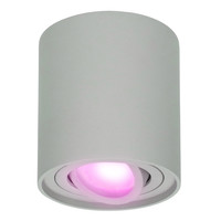 Intelligenter WiFi LED Deckenaufbaustrahler Ray Grau RGBWW Inkl. GU10 IP20 Schwenkbar