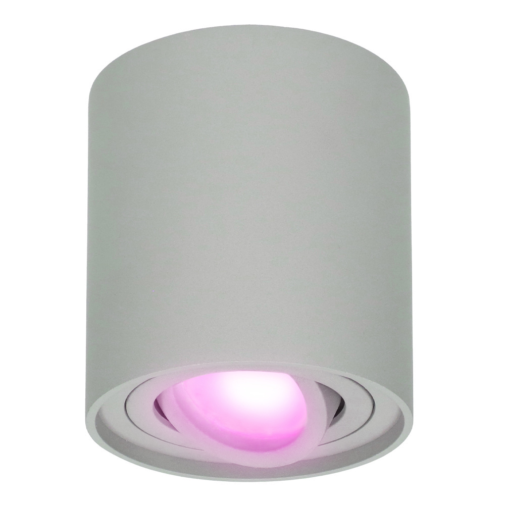 Smart WiFi LED Opbouwspot/plafondspot plafond Ray grijs RGBWW incl. GU10 IP20 kantelbaar