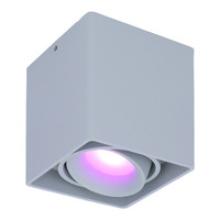 Smart WiFi LED surface mounted ceiling spotlight Esto grey RGBWW GU10 IP20 tiltable