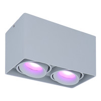 Smart WiFi LED surface mounted ceiling spotlight Esto grey RGBWW 2 light GU10 IP20 tiltable