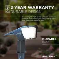 Odessa LED Solar Light with Spike 6000K daylight white IP65