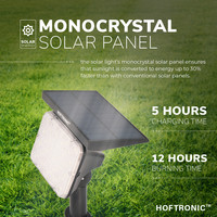 4x Eagle LED Solar Light with Spike 3000K warm white IP65