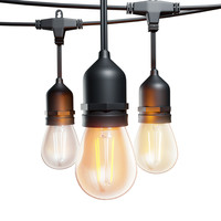 Smart LED pricking cable - 5m - incl. 10 smart filament lamps - Light cord with A60 light sources - suitable for outdoor use - Smart string light - Warm white to cold white