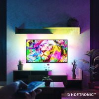 Smart LED Strip RGB Flow Color - 2x 5 metres - WiFi + Bluetooth- 12V - Google Home, Amazon Alexa and Siri - 16.5 million colours - IP65 for indoor and outdoor use - Controllable via app - Music mode - Remote control included - Lightsnake - Complete set