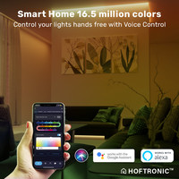Smart LED Strip RGB Flow Color - 2x 5 metres - WiFi + Bluetooth- 12V - Google Home, Amazon Alexa and Siri - 16.5 million colours - IP65 for indoor and outdoor use - Controllable via app - Music mode - Remote control included - Lightsnake - Complete set
