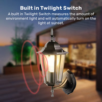 Klassieke LED wandlamp - Incl. E27 lamp met schemersensor - 2700K warm wit - IP44 ideaal als buitenverlichting - Zwart