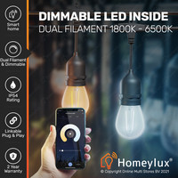 Slimme LED prikkabel - 15m - incl. 15 smart filament lampen - Lichtsnoer met A60 lichtbronnen - geschikt voor buiten - Smart string light - WWCW