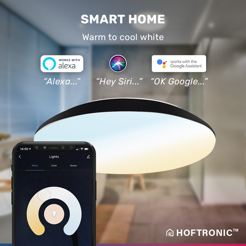 LED Bulkhead 30 cm - Plafondlamp - WiFi + Bluetooth - 18W 1800 Lumen - Lichtkleur instelbaar - Dimbaar - IK10 - Zwart - IP65 Waterdicht