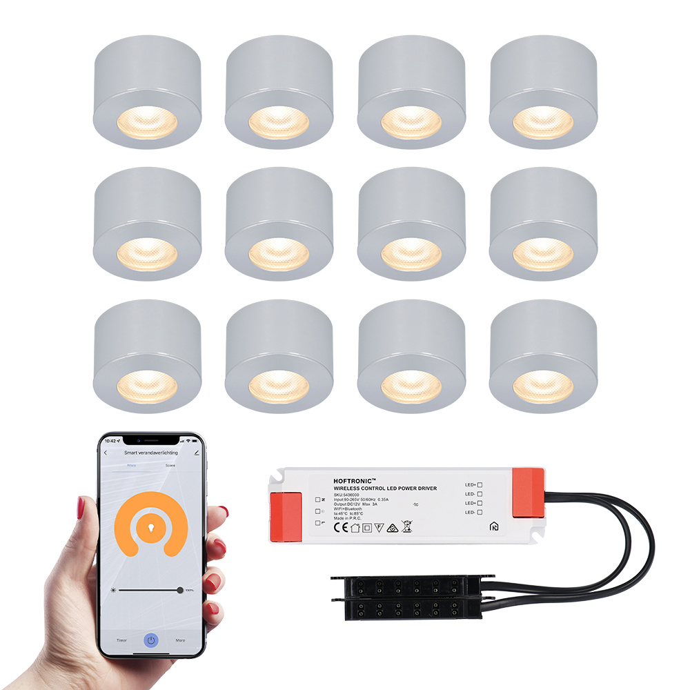 HOFTRONIC SMART 12x Navarra RVS Smart LED Opbouwspots complete set - Wifi & Bluetooth - 12V - 3 Watt