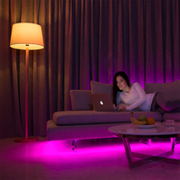 Smart LED Strip RGB Flow Color - 2x 5 metres - WiFi + Bluetooth- 12V - Google Home, Amazon Alexa and Siri - 16.5 million colours - IP65 for indoor and outdoor use - Controllable via app - Music mode - Remote control included - Lightsnake - Complete set