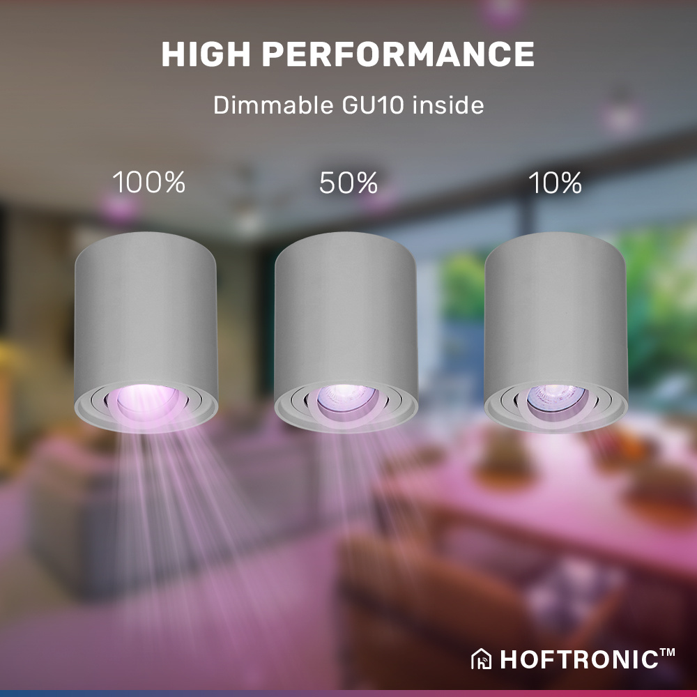 Smart WiFi LED Opbouwspot/plafondspot plafond Ray grijs RGBWW incl. GU10 IP20 kantelbaar