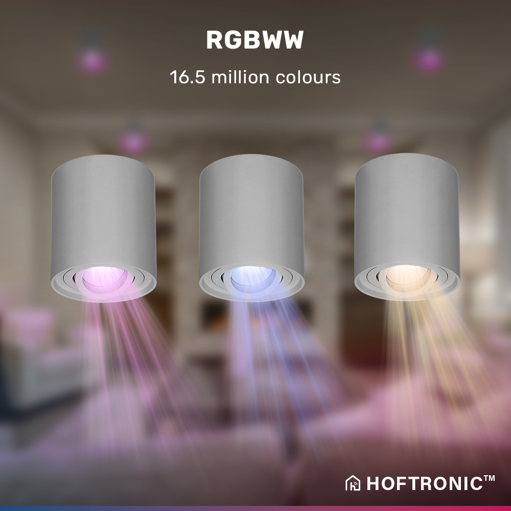 Smart WiFi LED Opbouwspot/plafondspot plafond Ray grijs RGBWW incl. GU10 IP20 kantelbaar