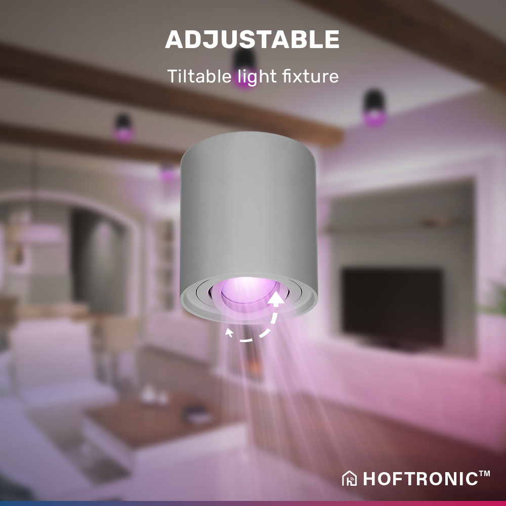 Smart WiFi LED Opbouwspot/plafondspot plafond Ray grijs RGBWW incl. GU10 IP20 kantelbaar