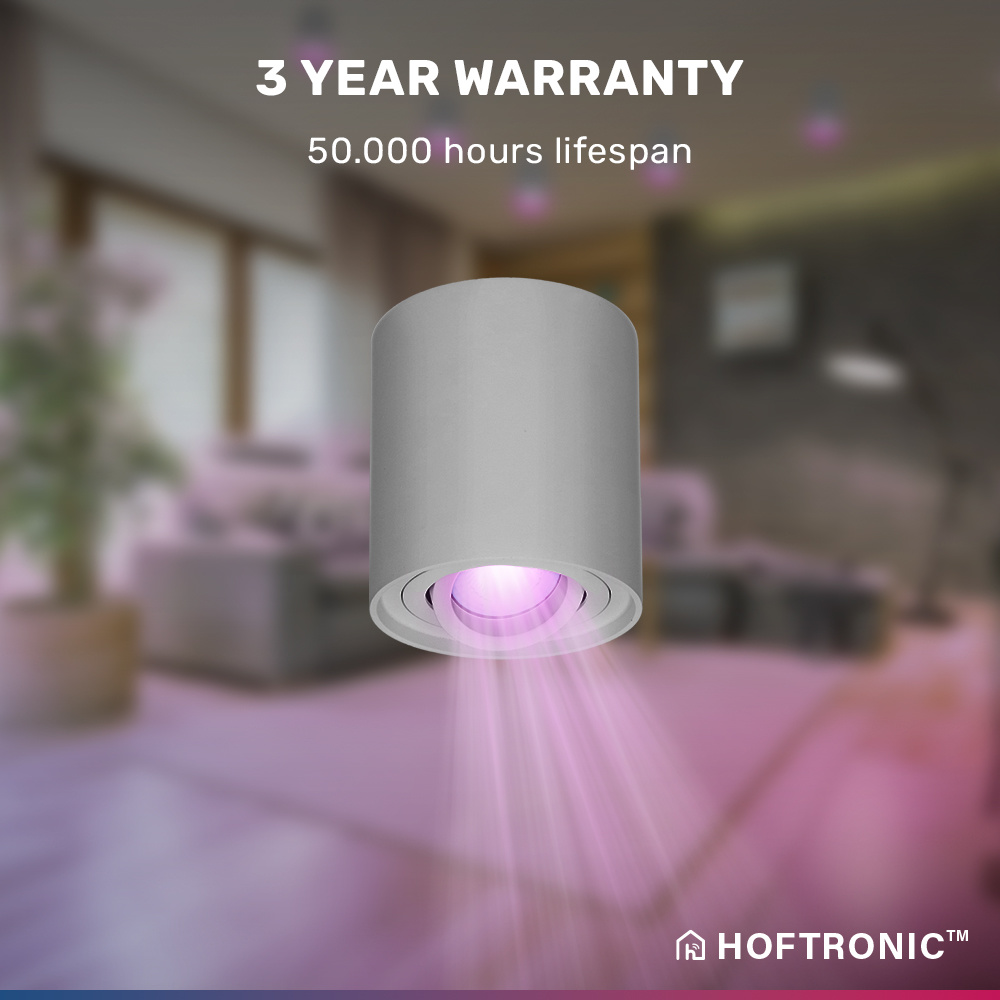 Smart WiFi LED Opbouwspot/plafondspot plafond Ray grijs RGBWW incl. GU10 IP20 kantelbaar