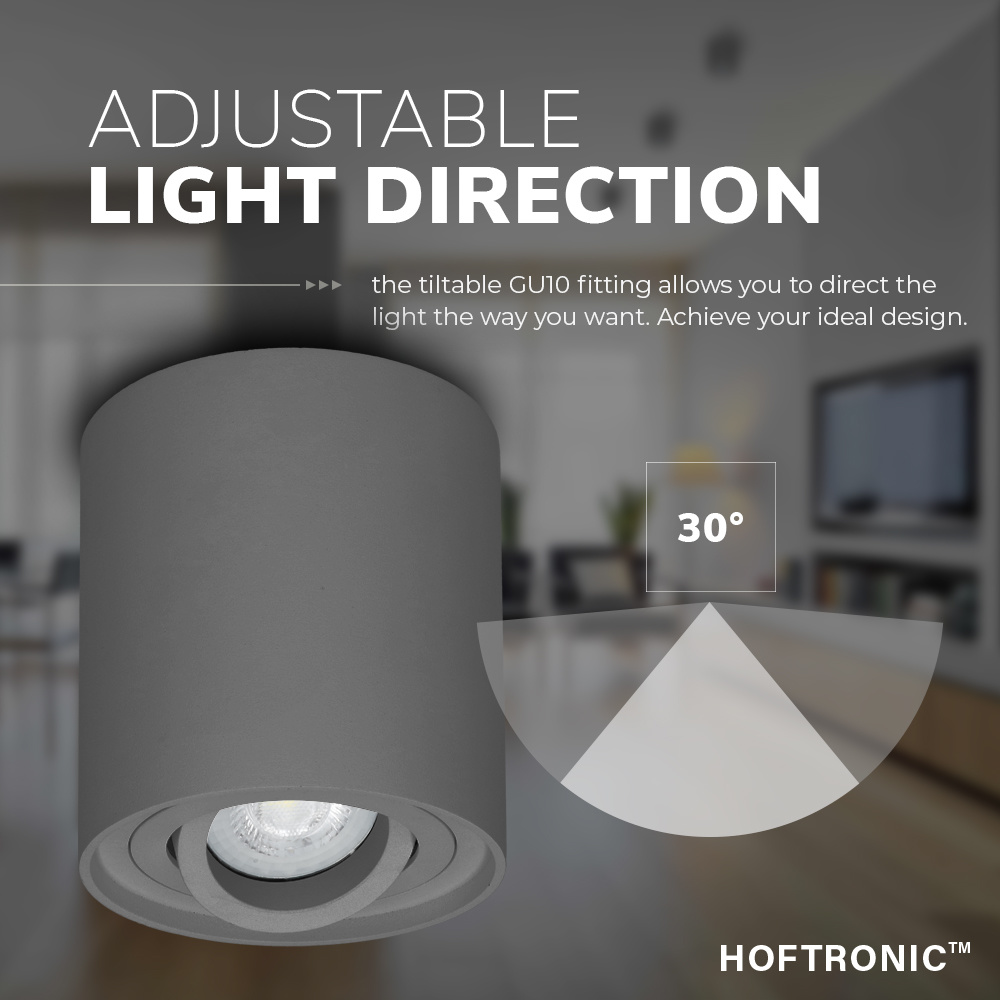 Dimbare LED Opbouwspot/plafondspot Ray Grijs 5W 6000K IP20 kantelbaar