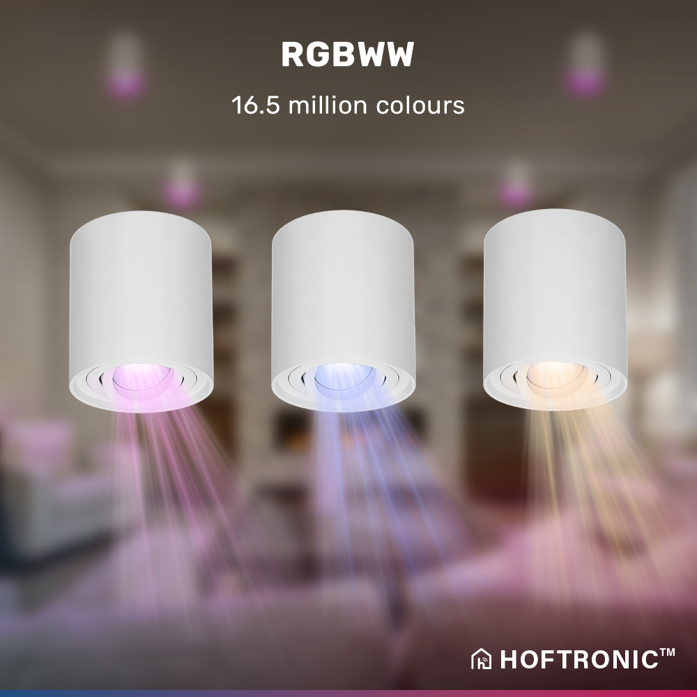 Smart WiFi LED Opbouwspot/plafondspot plafond Ray Wit incl. 5,5W GU10 RGBWW spot IP20 kantelbaar Rond
