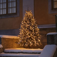 Lichtmantel für den Innen- und Außenbereich - 270 LEDs - 2.4 meter - Weihnachtsbaumbeleuchtung