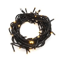 Lichtsnoer voor buiten - 8 functies - 2200K Amber - 80 micro LEDs - 13 meter - Kerstverlichting