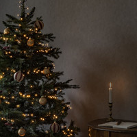 LED Clusterverlichting voor binnen - 2100K Amber - 400 LEDs – 8,8 meter – IP20 – Kerstverlichting – Incl. transformator