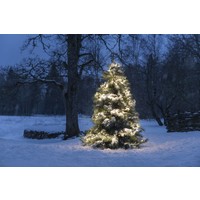 Clusterverlichting voor binnen en buiten - 768 LEDs - 5.8 meter - Kerstverlichting