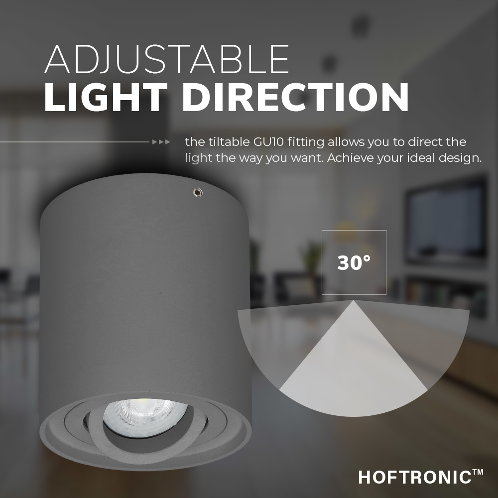 4x Dimbare LED Opbouwspot/plafondspot plafond Ray Grijs incl. GU10 spot 5W 2700K IP20 kantelbaar Rond