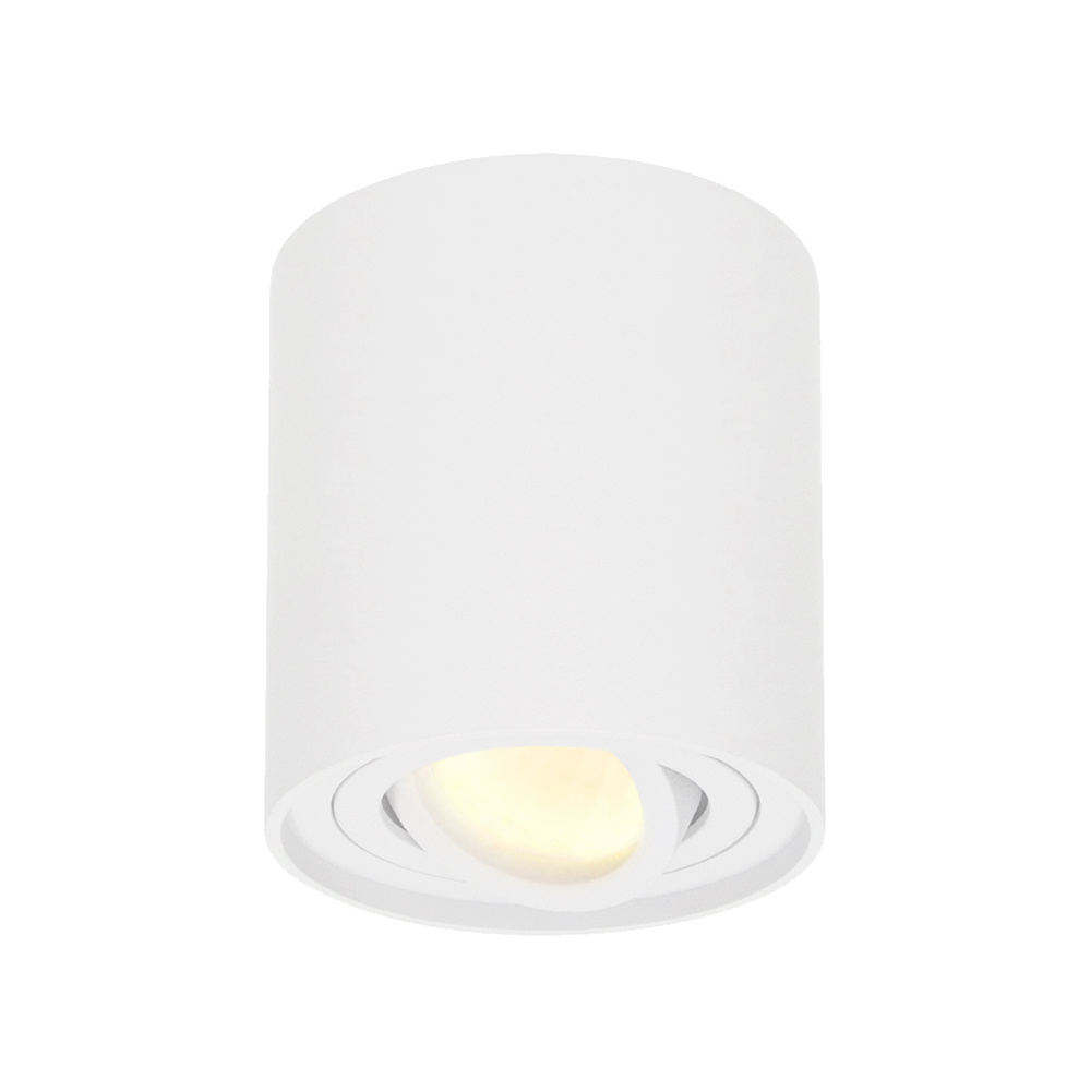 Hofronic Dimbare LED Opbouwspot plafond Ray Wit incl. GU10 spot 5W 2700K IP20 kantelbaar