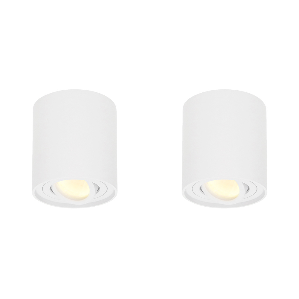 HOFTRONIC™ 2x Dimbare LED Opbouwspot plafond Ray Wit incl. GU10 spot 5W 2700K IP20 kantelbaar