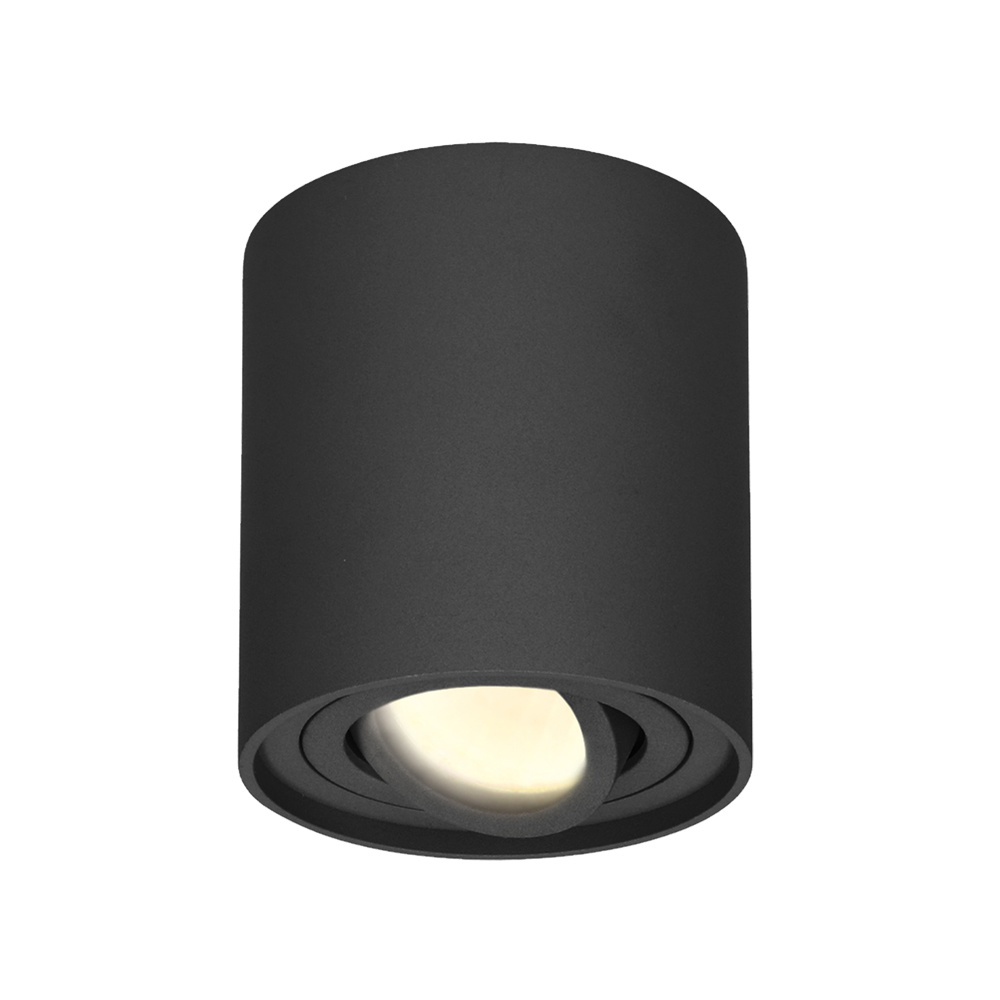 Spot plafond orientable LED dimmable Griffin