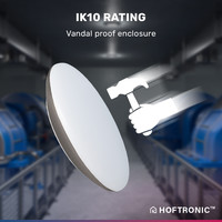 LED Bulkhead 30 cm - Plafondlamp - WiFi + Bluetooth - 18W 1800 Lumen - Lichtkleur instelbaar - Dimbaar - IK10 - RVS - IP65 Waterdicht
