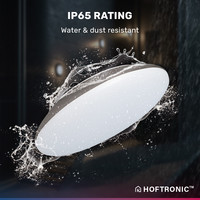 LED Ceiling lamp WiFi + Bluetooth 18W CCT - 1800lm - IK10 - Ø30 cm - Stainless steel - IP65