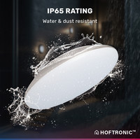 LED Ceiling lamp WiFi + Bluetooth 25W CCT - 2600lm - IK10 - Ø308 cm - Chrome - IP65